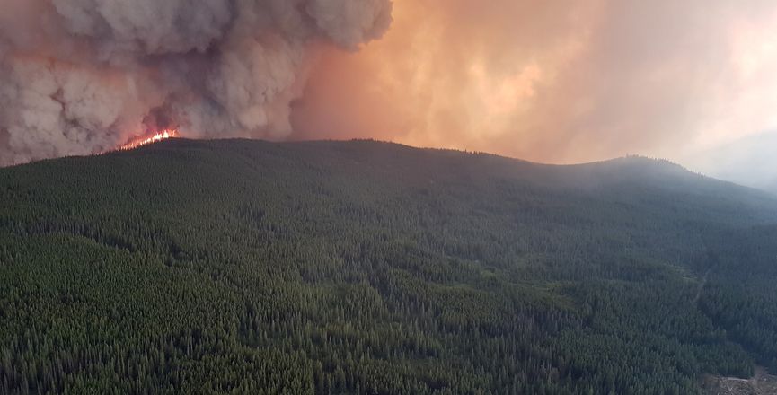 Justin Trudeau’s Pledge to Train More Firefighters Panned Amid Liberals’ Poor Climate Record