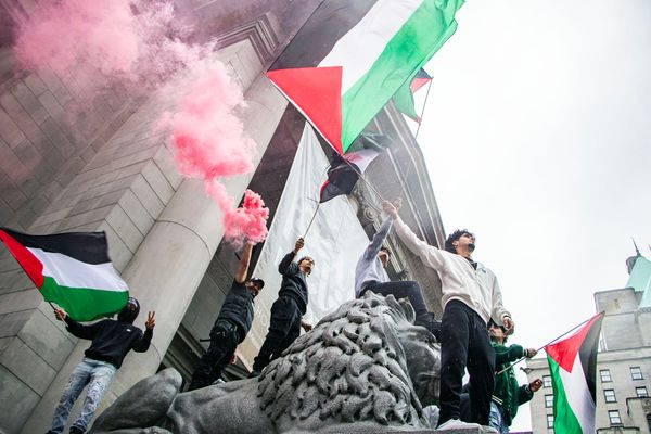 Palestine Solidarity Protesters Defy Denouncements From Politicians